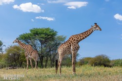 Botswana