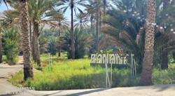 Birkat Al Mauz