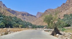 Wadi Tiwi