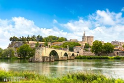 Avignon hídja, háttérben a Pápai Palotával